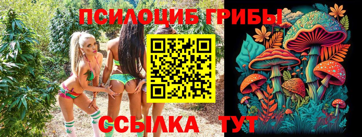 Галлюциногенные грибы ЛСД Обнинск