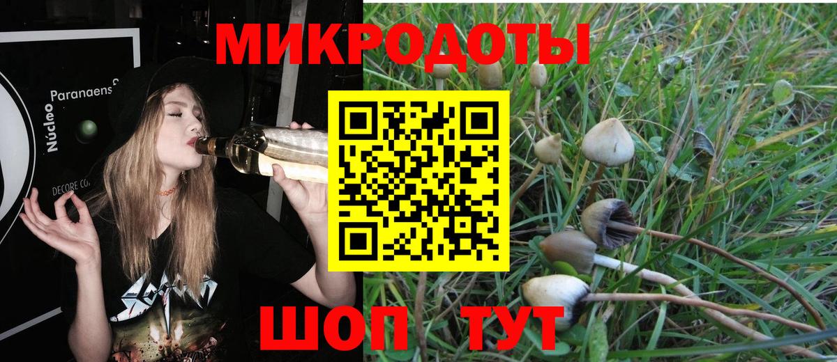 Галлюциногенные грибы MAGIC MUSHROOMS  купить наркотики цена  Обнинск  Галлюциногенные грибы Psilocybine cubensis  Вход с VPN 
